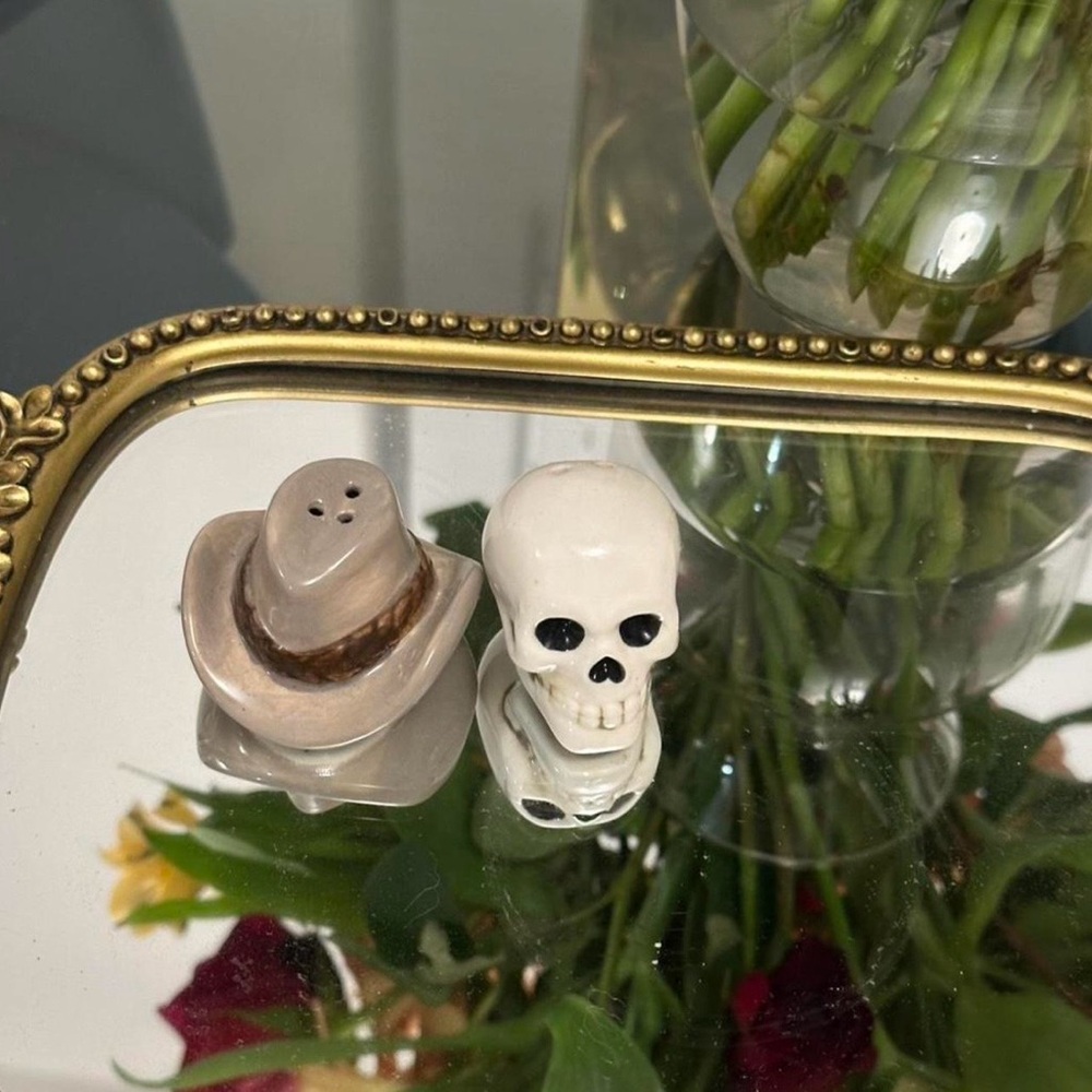 Skull Salt & Pepper Shaker Set Western Goth Halloween Decor Ceramic